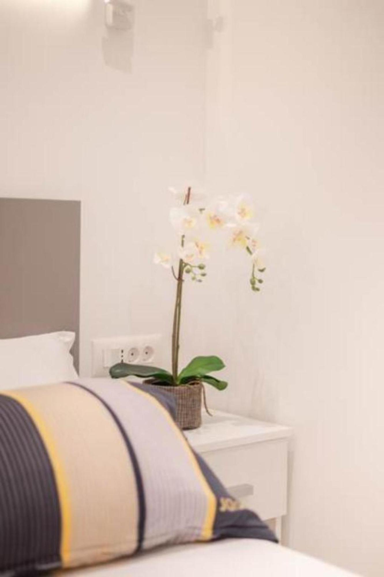 Canta Amore Suites Zadar Exteriér fotografie